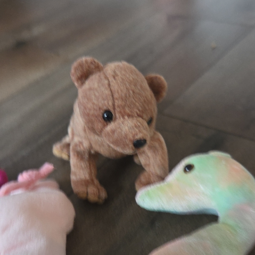 Beanie Babies Collection - Picture 9 of 9